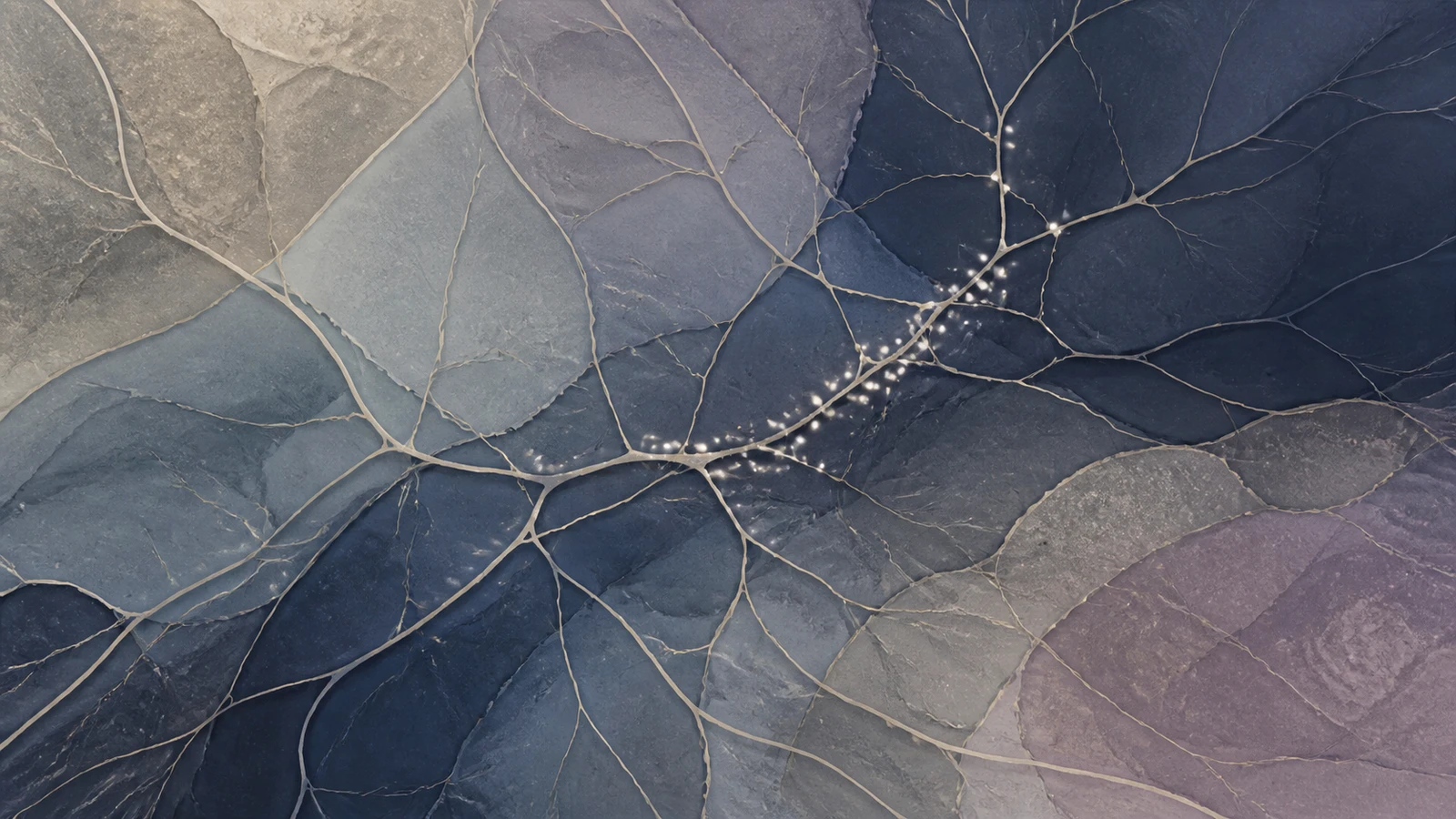 Abstract scientific illustration of fine branching channels crossing layered navy and warm-stone fields, with scattered pale signals concentrated along part of the network